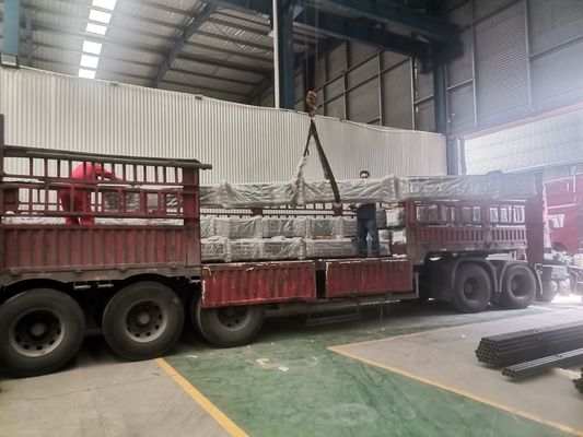 Válvula introduzida subsuperficial de Rod Pump Double do otário para a produção de petróleo