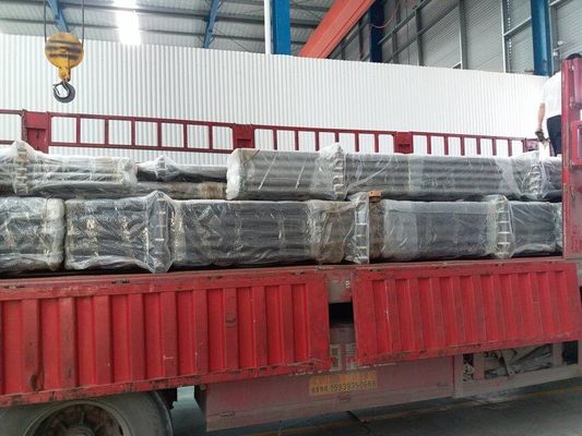 Tipo fixo otário Rod Pump de API Tubing Pump Series Downhole