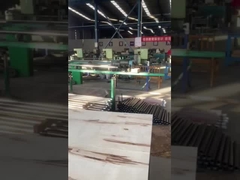 Serviço OEM API Peças de bomba de campo de petróleo padrão, Spray Metal Plunger de campo de petróleo