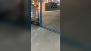 êmbolo de peça sobressalente da bomba de haste de sucção