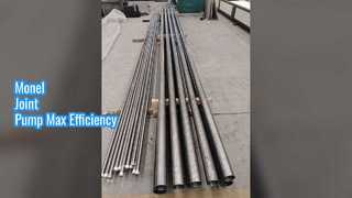 API 11AX otário Rod Pump Monel Joint Plunger