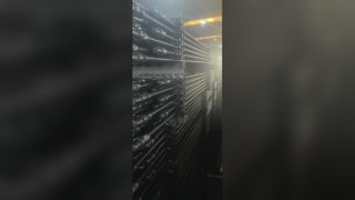 Hastes de sucção grau D
